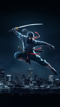 Airborne Ninja game image